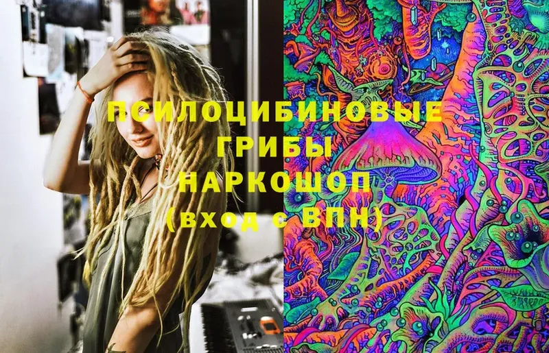 Псилоцибиновые грибы Magic Shrooms  Ессентуки 